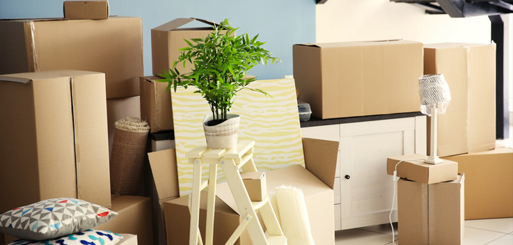 packed items in a room